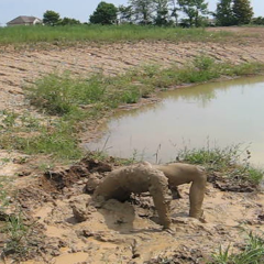 RyuuWammer: Video: Another Visit to the Mud Pond - Even more XXX