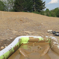 RyuuWammer: Bathing in Mud Pool