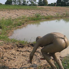 RyuuWammer: New Video: Getting Horny in the mud