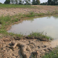 RyuuWammer: New Video: Getting Horny in the mud