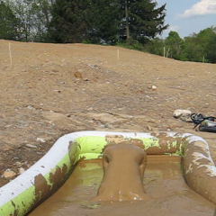 RyuuWammer: Bathing in Mud Pool