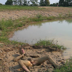 RyuuWammer: New Video: Getting Horny in the mud