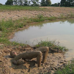 RyuuWammer: New Video: Getting Horny in the mud