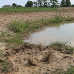 RyuuWammer: Video: Another Visit to the Mud Pond - Even more XXX