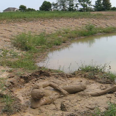 RyuuWammer: Video: Another Visit to the Mud Pond - Even more XXX