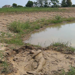 RyuuWammer: Video: Another Visit to the Mud Pond - Even more XXX