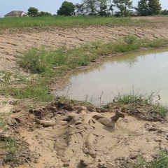 RyuuWammer: Video: Another Visit to the Mud Pond - Even more XXX