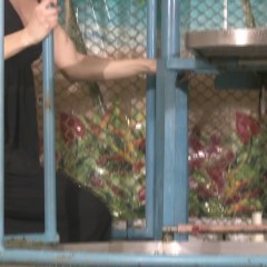 doctor_splash: Dunk Tank Fun