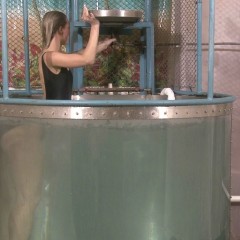 doctor_splash: Dunk Tank Fun