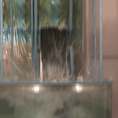 doctor_splash: Dunk Tank Fun