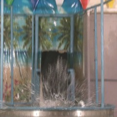 doctor_splash: Dunk Tank Fun