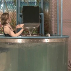 doctor_splash: Dunk Tank Fun