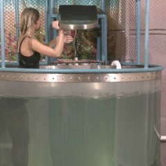 doctor_splash: Dunk Tank Fun