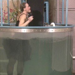 doctor_splash: Dunk Tank Fun