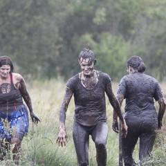 Plonk: For the cosplay crowd: Wonder Woman trashed in deep mud
