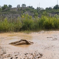 RyuuWammer: New Video: Deep Mud Masturbation