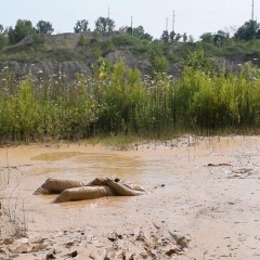 RyuuWammer: New Video: Deep Mud Masturbation