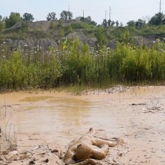 RyuuWammer: New Video: Deep Mud Masturbation