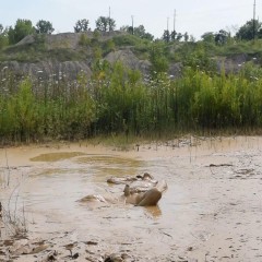 RyuuWammer: New Video: Deep Mud Masturbation