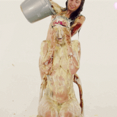 stewy18: More Gifs for Girlsgetgunged