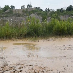 RyuuWammer: New Video: Deep Mud Masturbation