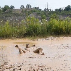 RyuuWammer: New Video: Deep Mud Masturbation