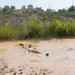 RyuuWammer: New Video: Deep Mud Masturbation