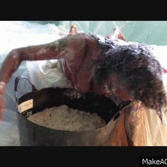 tomfooleryguy: 50% Off All Lucky or Mucky Videos til Dec