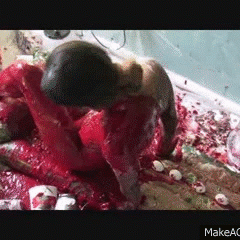 tomfooleryguy: 50% Off All Lucky or Mucky Videos til Dec