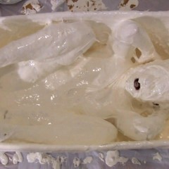 Messygirl: Pics from this weeks Messygirl update