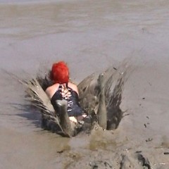 FOXY: video mud Aurore available