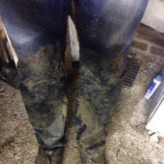wetmart2240: Finally Found a Great Mud Spot