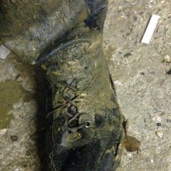 wetmart2240: Finally Found a Great Mud Spot