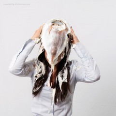WAM Photography: The secretary and the pies--reduced price for a  week!