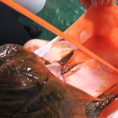 noise: Nikki Vs.  Orange Slime
