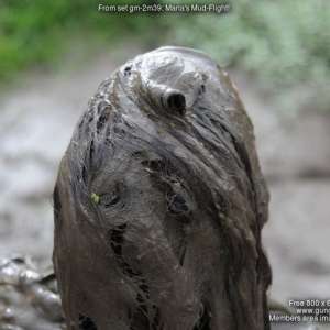 DungeonMasterOne: Maria in the mud in a German airforce flightsuit!