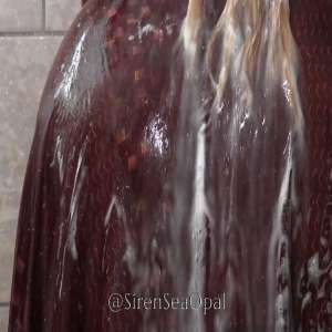 SeaOpal: Shower, Shampoo and Strip