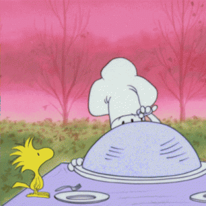JediKnight: Happy Thanksgiving!