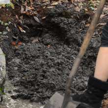 muddoug: I got buried, today