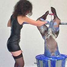FOXY: videos with Mina suspended and Marion