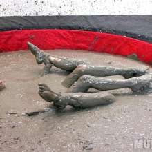 wamfan: Mud Wrestling Video:  Down and Dirty