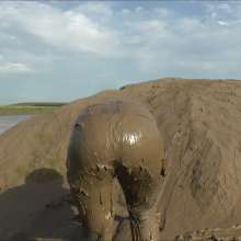 DungeonMasterOne: Download: Blonde Felicity takes to the mudbanks in a Spandex catsuit!