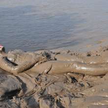DungeonMasterOne: Download: Blonde Felicity takes to the mudbanks in a Spandex catsuit!