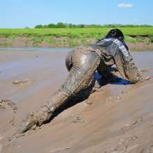 DungeonMasterOne: Download: Veronica Ravenblack's Adidas Mudbath!
