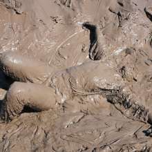 DungeonMasterOne: Download: Veronica Ravenblack's Adidas Mudbath!