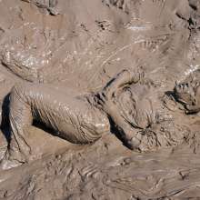 DungeonMasterOne: Download: Veronica Ravenblack's Adidas Mudbath!