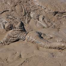 DungeonMasterOne: Download: Veronica Ravenblack's Adidas Mudbath!