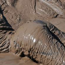 DungeonMasterOne: Download: Veronica Ravenblack's Adidas Mudbath!