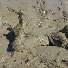 DungeonMasterOne: Download: Veronica Ravenblack's Adidas Mudbath!