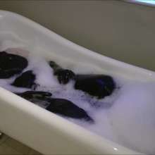 DungeonMasterOne: Cynthia wears her denim overalls in the bath and shower